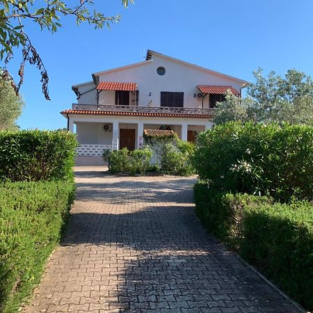 Villa Conti Residence Lacona Bagian luar foto